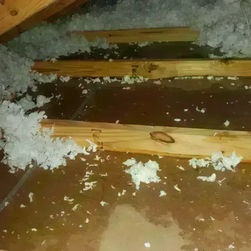 Attic Water Damage in Barrington, IL