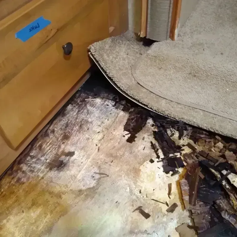 Wood Floor Water Damage in Barrington, IL